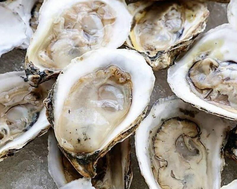 Raw Oyster